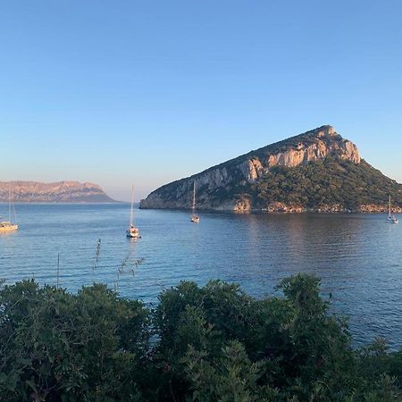 Appartamenti Le Primule Golfo Aranci Zewnętrze zdjęcie