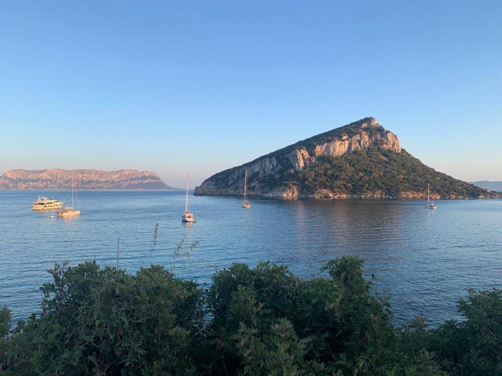 Appartamenti Le Primule Golfo Aranci Zewnętrze zdjęcie