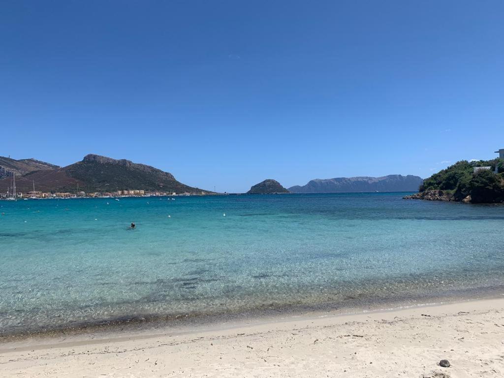 Appartamenti Le Primule Golfo Aranci Zewnętrze zdjęcie