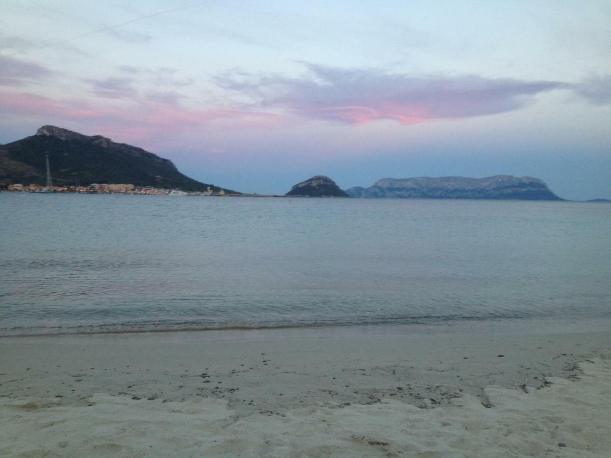 Appartamenti Le Primule Golfo Aranci Zewnętrze zdjęcie
